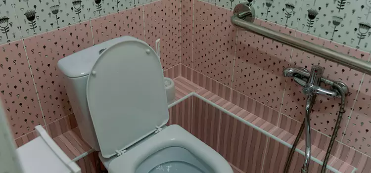 Meeting Diverse Needs With Accessible Restroom Solutions in Woodlawn, VA